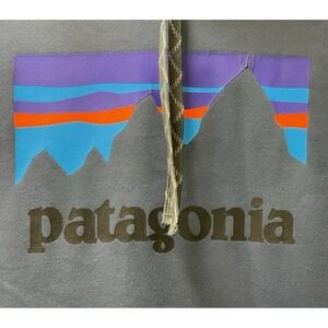 Patagonia Men's Small Blue Pullover Hooded Sweatshirt w/Logo Graphic